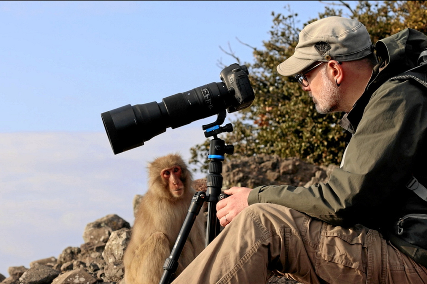 , Actus françaises: Les incroyables aventures d’un primatologue #France